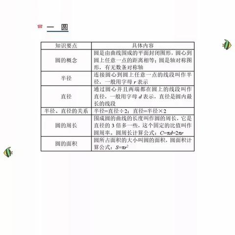 六年级数学上册复习知识点