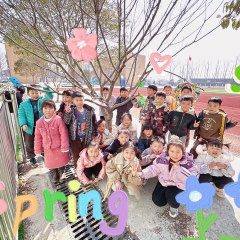 “孟春之月，盛德在木”——马坡镇九段幼儿园开展“3.12植物节”主题活动