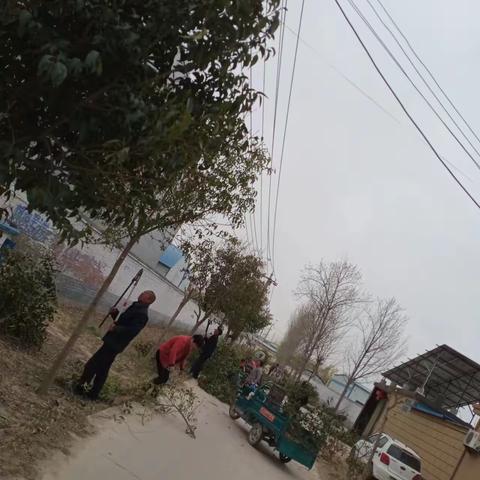 【新时代文明实践】【倡树美德健康生活方式】【我为群众办实事】大义镇开展“修剪绿植、美化家园”活动