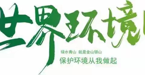 同在蓝天下，共爱一个家！——高二三班 一组