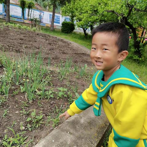 春日播种，乐享其“种”——汪清县第五幼儿园大班种植活动