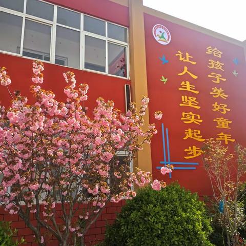 夏理逊小学教育集团伞塔校区欢迎你！——伞塔校区师资介绍（一）