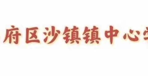 【沙镇镇中心学校】踔厉奋发，笃行不怠——东昌府区沙镇镇中心学校教学活动纪实