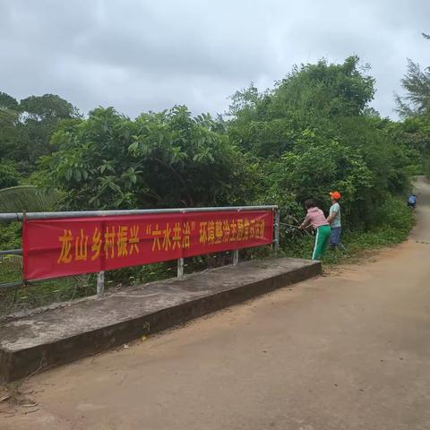 迈号片区龙山村开展“六水共治”暨生猪养殖场周边环境整治活动