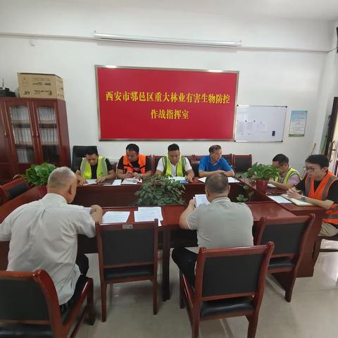 鄠邑区2023年美国白蛾防控项目第二十周周例会