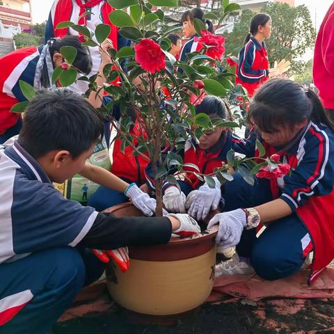 爱生活   学养花  —— 水桥小学六年级（4）班劳动实践活动