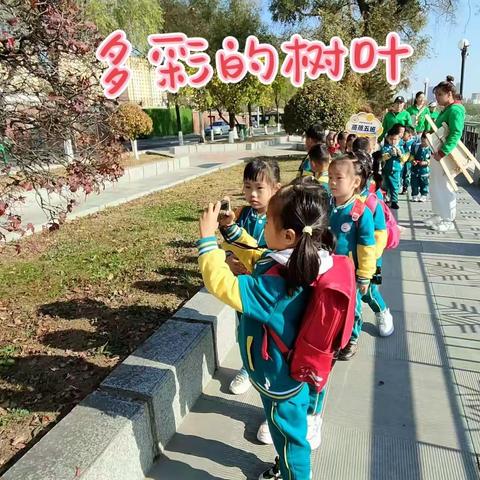 我们一起“趣”秋游