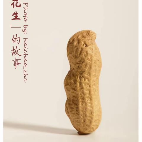 “豆”事，很有趣之🥜好事花生🥜