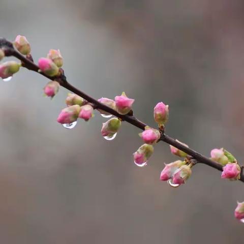 向着明亮那方