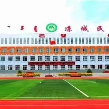 用爱呵护 用心辅导      ——聚焦凉城民小学生心理调适辅导活动