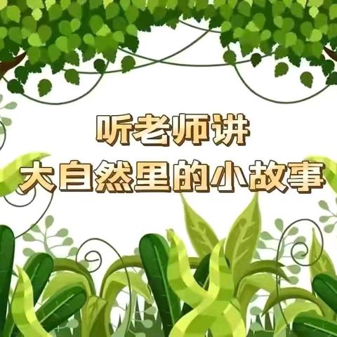 听老师讲大自然里的小故事——《秋天的信息》