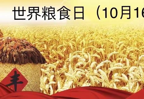 爱粮节粮 不负“食”光 ——马风中心校开展粮食安全宣传周活动