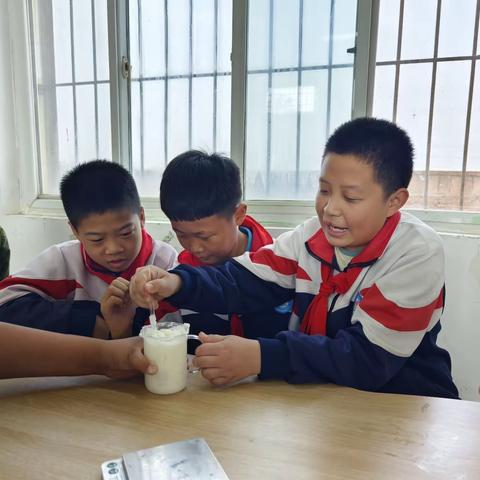 洪河屯乡第一中心小学五三班劳动实践活动