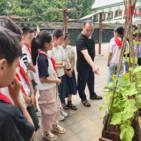 走进绿色种植，感悟生命成长——马庄乡育才小学“绿色点亮生活，健康护佑生命”主题活动