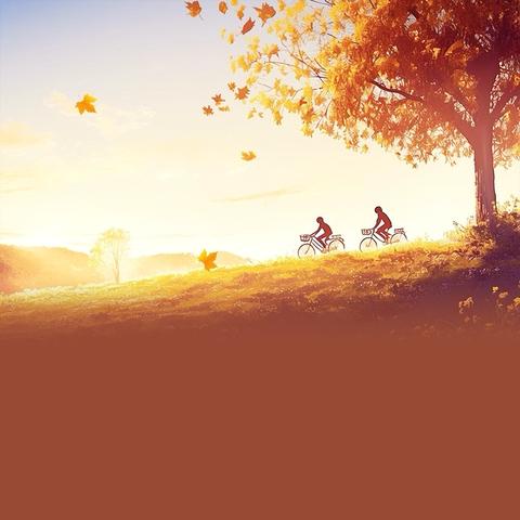 秋日“燃”动，逐梦赛场——杨家岭福州希望小学秋季运动会纪实