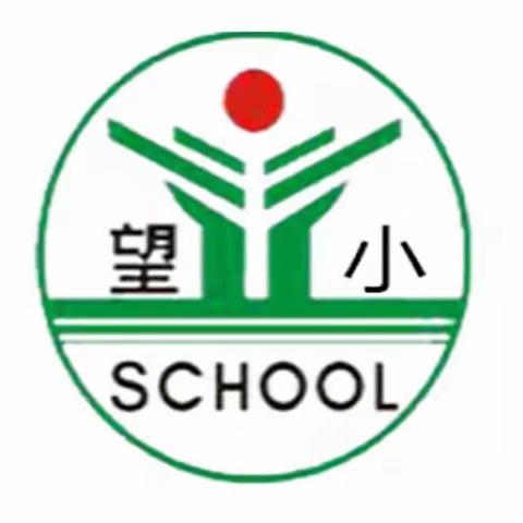 【望仙小学】翰墨书香，立志立人——开展“写好字”活动（七）