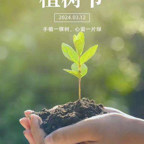 “相逢植树节，爱在春风里”———方城县释之学校植树节活动