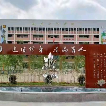 心灵之光，共筑健康——肇庆市高要区莲塘镇初级中学心理健康讲座纪实