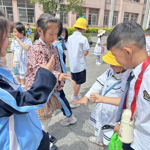 大三班（真情培育 共待花开）