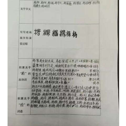 汉字真有趣——育华小学五二班语文综合性学习汇报