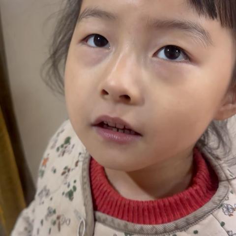 万霖花苑幼儿园大一班周五活动课程记录