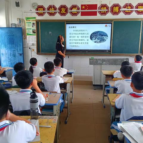 小说的魅力 执教：林燕 课题编号：A209—2022012 课题名称：小学高年级语文朗读技巧训练策略研究