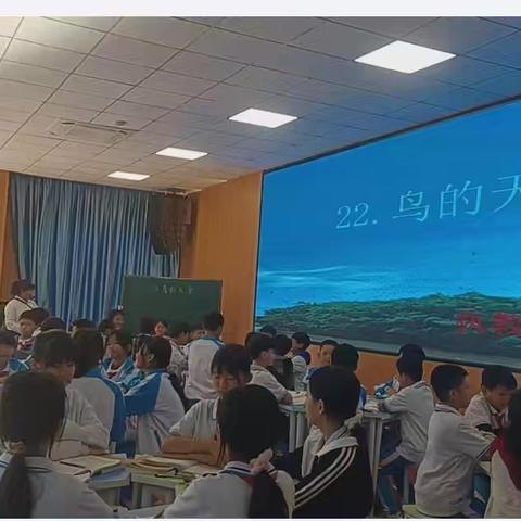 《鸟的天堂》第二课时课堂纪实 执教者：郑元燕 课题编号：A209—2022012 课题名称：小学语文高年级朗读技巧训练的策略研究