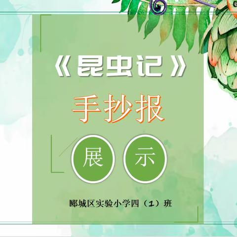 郾城区实验小学四(1)班《昆虫记》手抄报展示