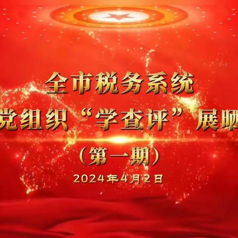 市局举办全系统第一期基层党组织质量提升“学查评”展晒活动