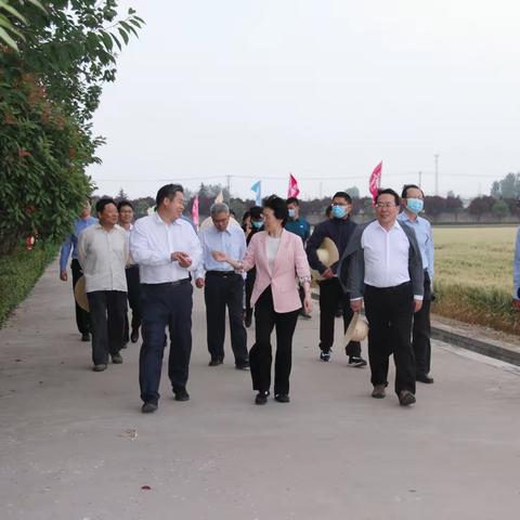 市委副书记韩冬梅来我院调研指导工作