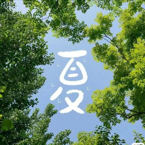 “邂逅夏天🌴”——大理市银桥镇双阳完小附属幼儿园中班第18周美好时光记录