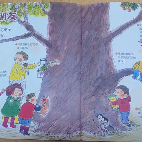 博达教育集团大风车幼儿园花仙子二班第九周—“拜访大树🌲”主题活动