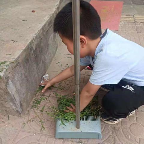 “七彩假期 你我同行”肥乡区第二实验小学开展传承优良家风 共筑最美家庭活动