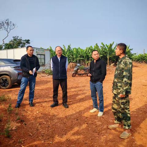 临高县统计局深入皇桐镇调研农业统计，强化数据可靠性