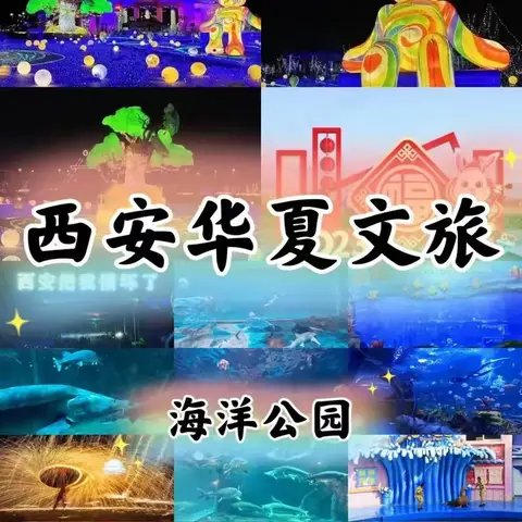 2026华夏文旅 “放飞海洋梦想 感受丝路传奇”研学之旅隆重来袭