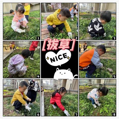 云邸幼儿园一周精彩回顾