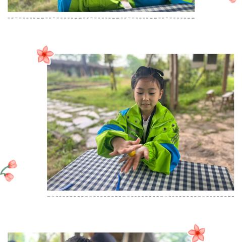 重庆市九龙坡区华福小学校 ‍二年级三班丨春日踏歌行  ‍实践润童心——2025-2026学年下学期春季研学实践活动