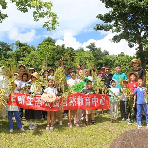 稻花香里说丰年，亲子同享丰收乐