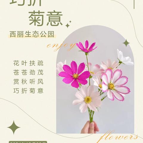 巧折菊意，共赏深秋花会