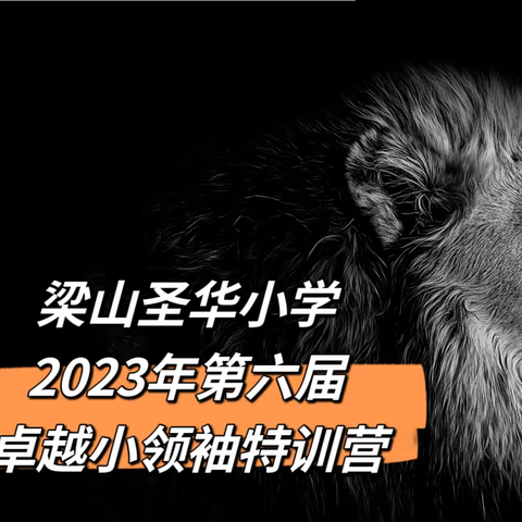 梁山圣华小学第六届卓越小领袖特训营——给未来领袖赋能