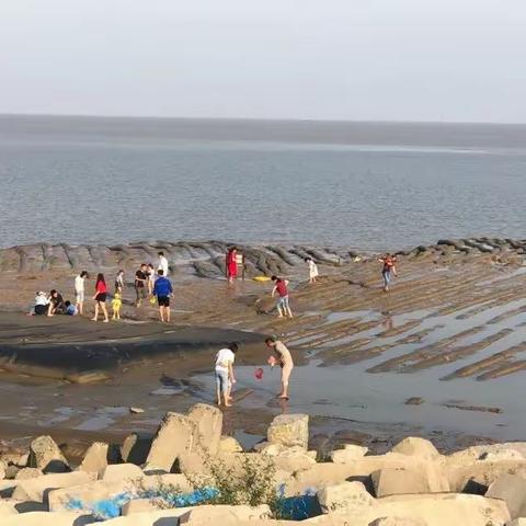 【赶海拾贝】世界自然遗产地--东台条子泥/AAAAA濠河风景区/唐闸古镇/龙游湖风景区/1早3正全含