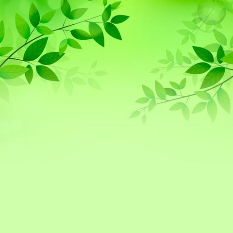 奋起逐梦 不负韶华一一京当镇祝家庄九年制学校第十八周值周工作纪实