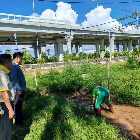 【海口玉禾田园林】7月28日园林部开展基孔肯雅热及登革热防疫有关工作