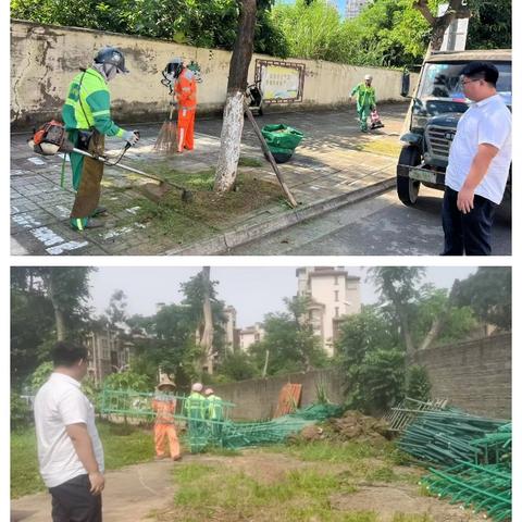 【海口玉禾田园林】7月29日园林部开展基孔肯雅热防疫工作情况