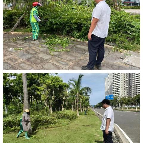 【海口玉禾田园林】8月2日园林部开展基孔肯雅热防疫工作情况