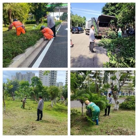 【海口玉禾田园林】8月3日园林部开展基孔肯雅热防疫工作情况