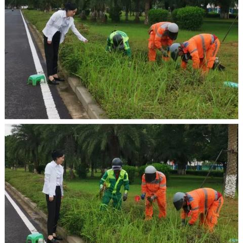 【海口玉禾田园林】8月4日园林部开展基孔肯雅热防疫工作情况