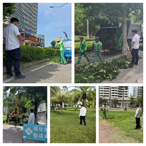 【海口玉禾田园林】2月7日园林作业情况