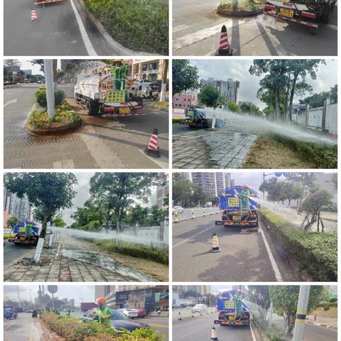 【海口玉禾田园林】2月6日园林作业情况