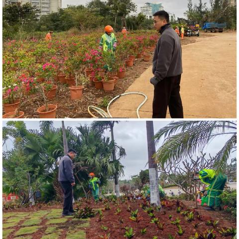 【海口玉禾田园林】2月8日园林作业情况